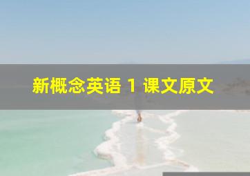 新概念英语 1 课文原文